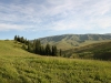 IMG_1923 Panorama_resize